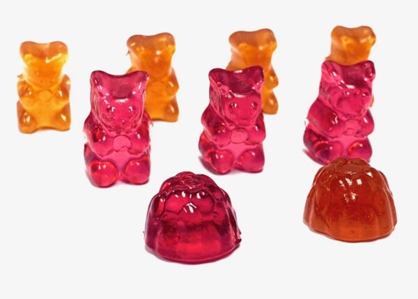 GUMMY SAMPLE PACK- GELATIN